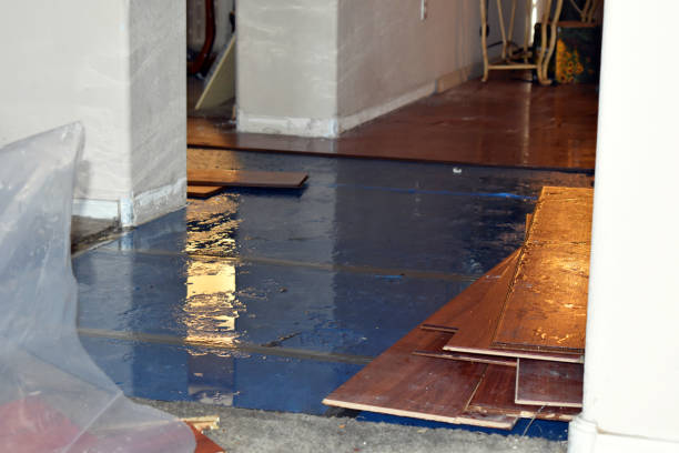 Professional Burst Pipe Cleanup technician working in Harrison, NY